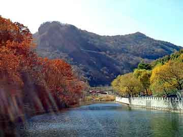 新澳天天开奖资料大全旅游团，手套加工